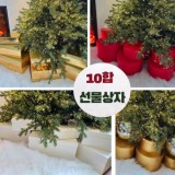 상품 섬네일